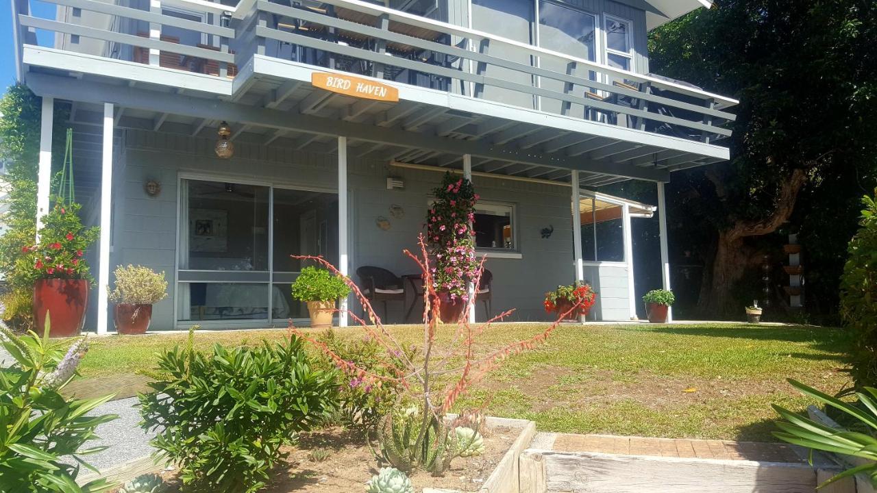Bird Haven Bed and Breakfast Coromandel Buitenkant foto